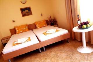 Отель Family Hotel Rosi Свети-Влас Двухместный номер с 1 кроватью или 2 отдельными кроватями и балконом-7